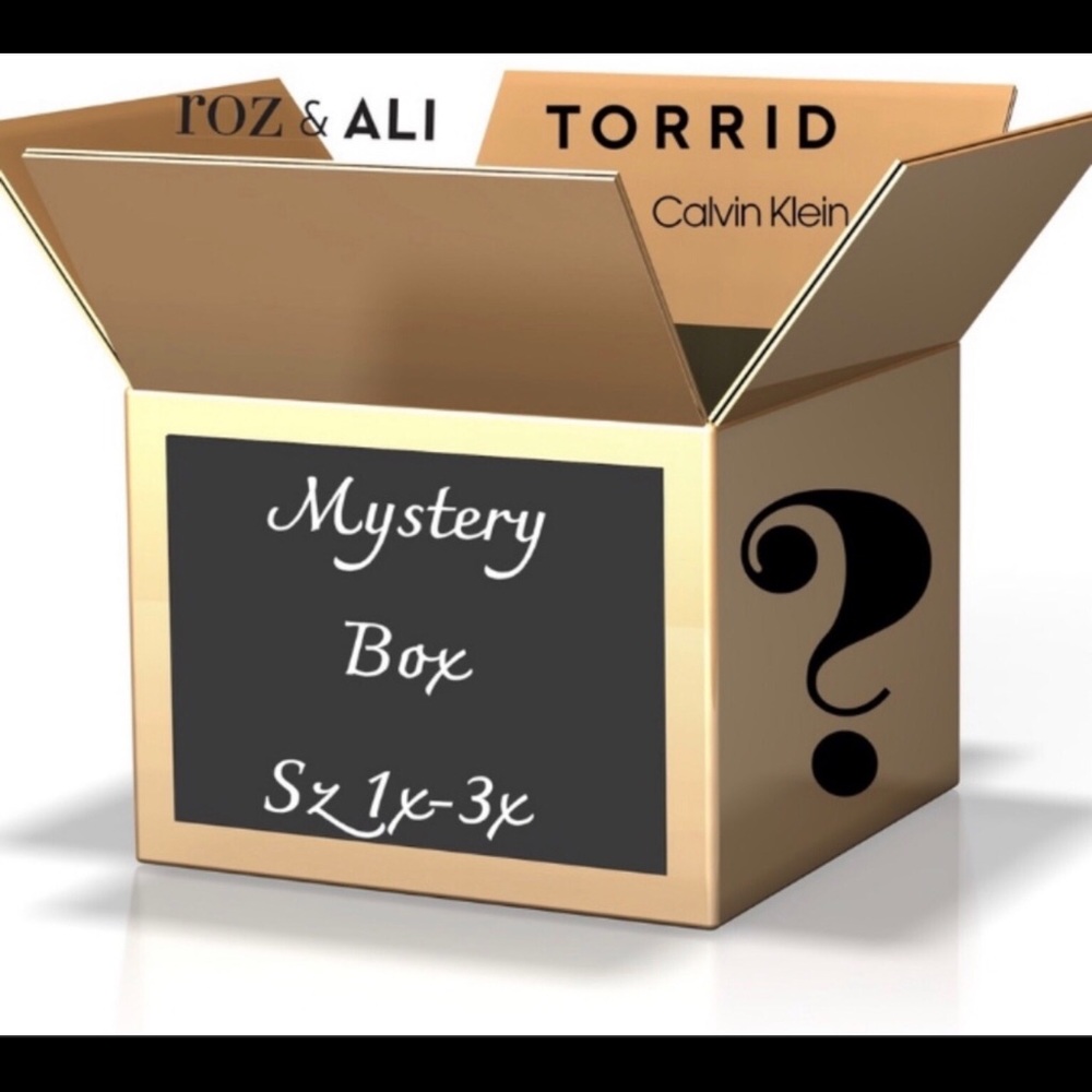 Plus Size Mystery Box 0X-3X 3-5 items NWT or EUC
